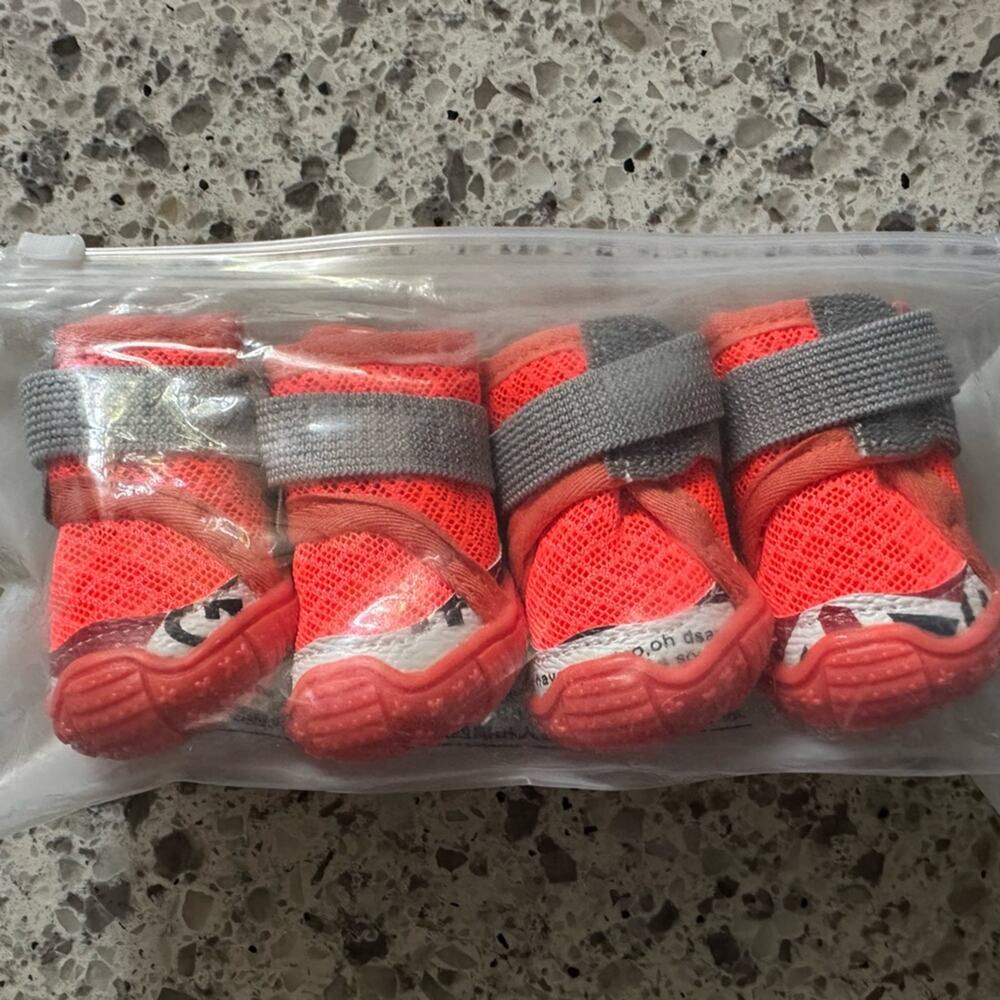 Little Dog Shoes